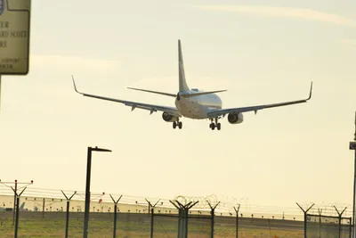 DSC_5659 (Large).JPG